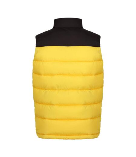 Regatta Mens Vintage Colour Block Vest (Solar/Black)