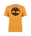 T-shirt Motif/style Logo Homme Marron Timberland-1