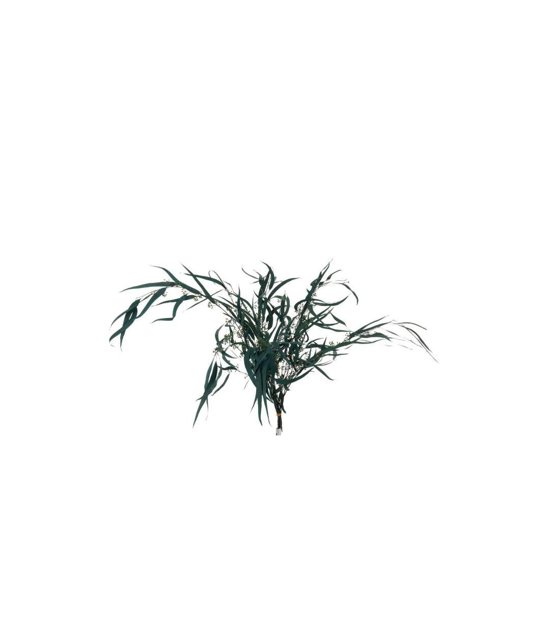 Bouquet d'Eucalyptus Sauvage Séché 75cm Vert-1