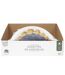 Lot de 6 Assiettes en Papier Dinosaure 27cm Blanc-3