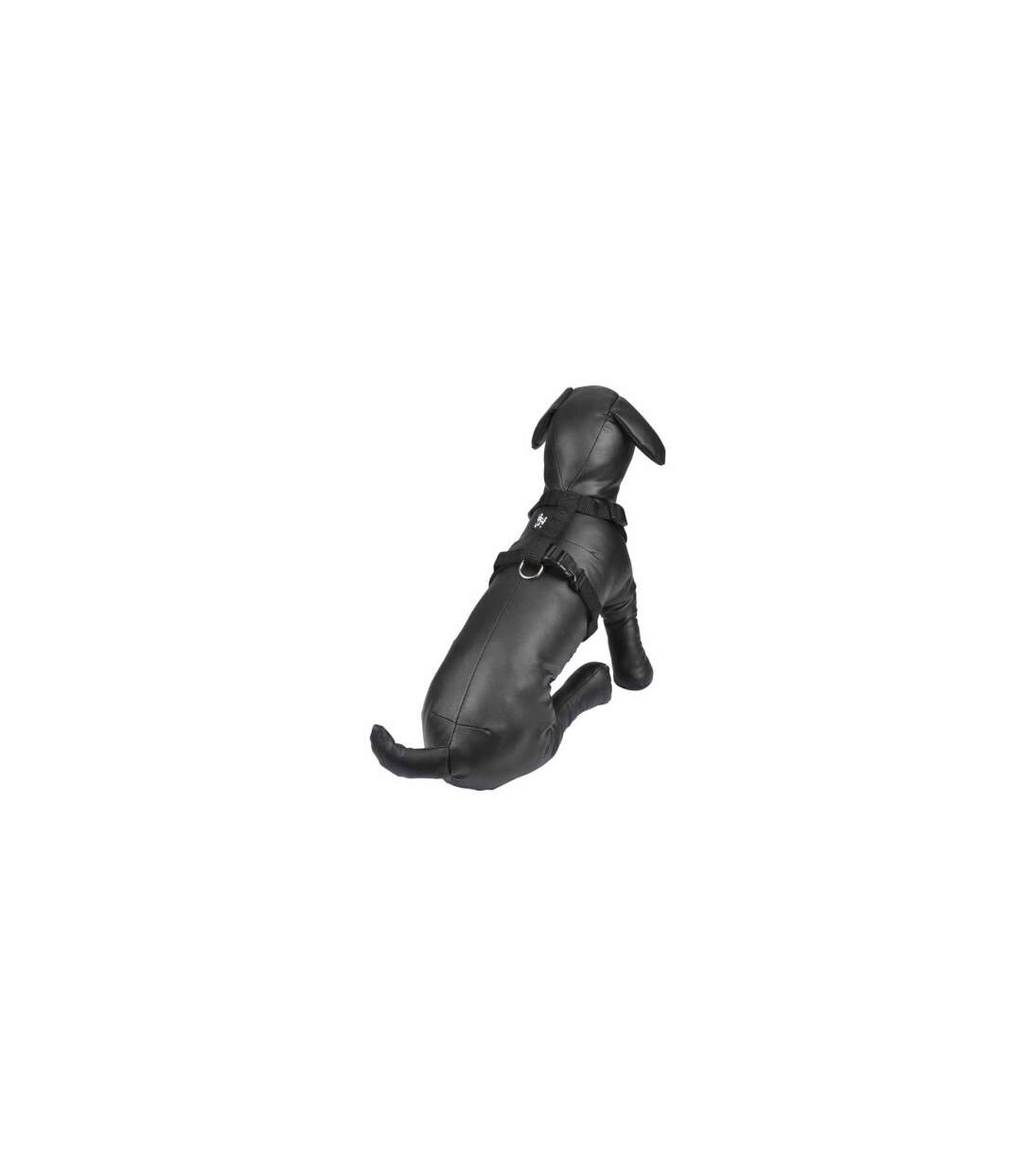 Harnais pour Chien Essentiel 35cm Noir-2