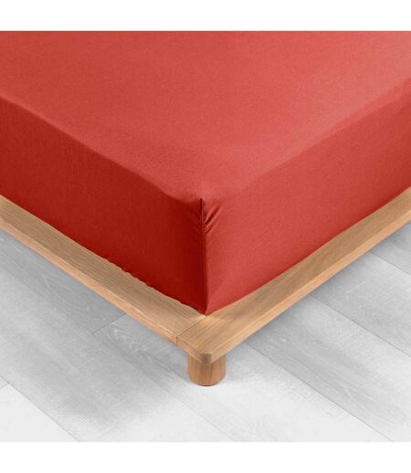 Drap Housse Percaline 160x200cm Tomette