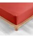 Drap Housse Percaline 160x200cm Tomette-2