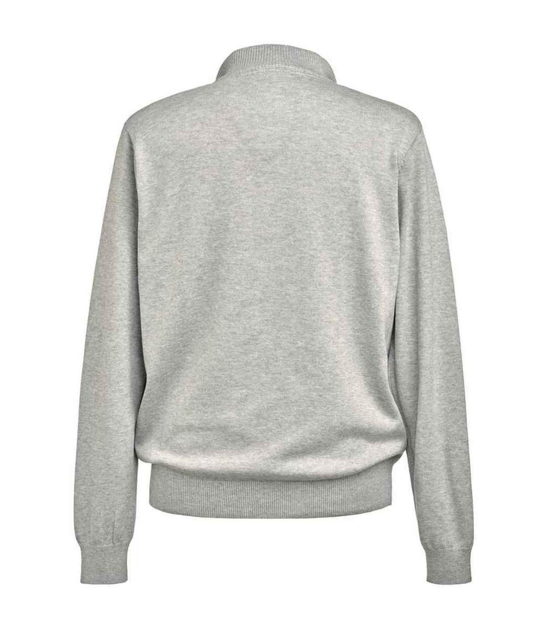 Mens dallas zip-neck sweater silver Brook Taverner-2