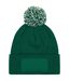 Bonnet Snowstar Unisexe Vert Blanc Beechfield-2