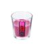 Bougie Parfumée en Verre Nina 90g Framboise-1