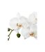 Fleur Artificielle en Pot Orchidée 53cm Gris-2