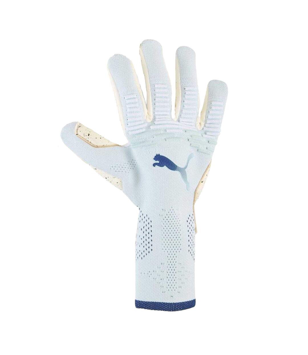 Unisex Adult Future Ultimate Goalkeeping Goalkeeper Gloves Blue Puma-1