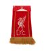 Liverpool FC Premier League Champions Winter Scarf (Red/Gold) - UTTA6541