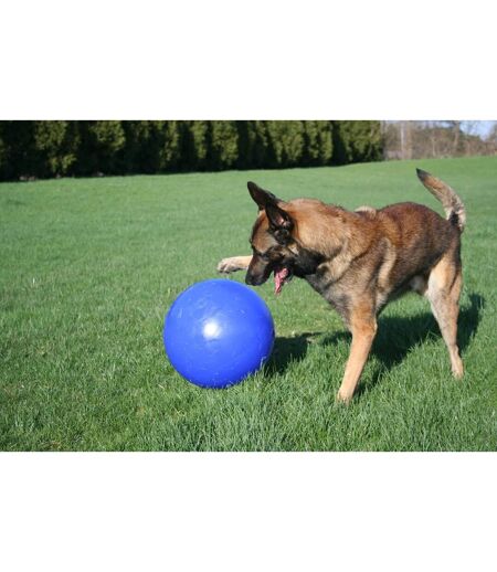 Jolly Pets - Balle pour chiens PUSH-N-PLAY (Bleu) (35,56 cm) - UTTL5212