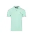 Mens Classic Organic Polo Shirt Apple Green Raging Bull-2