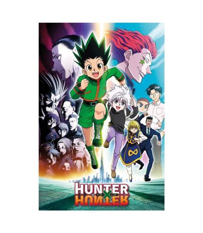 Hunter X Hunter - Poster (Multicolore) (Taille unique) - UTTA7329