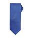 Premier - Cravate - Adulte (Bleu roi) (One Size) - UTPC5860
