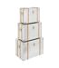 Lot de 3 Malles de Rangement Sky 54cm Argent-1