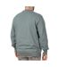 Sweat Bleu/Gris Homme Valley Falls - M