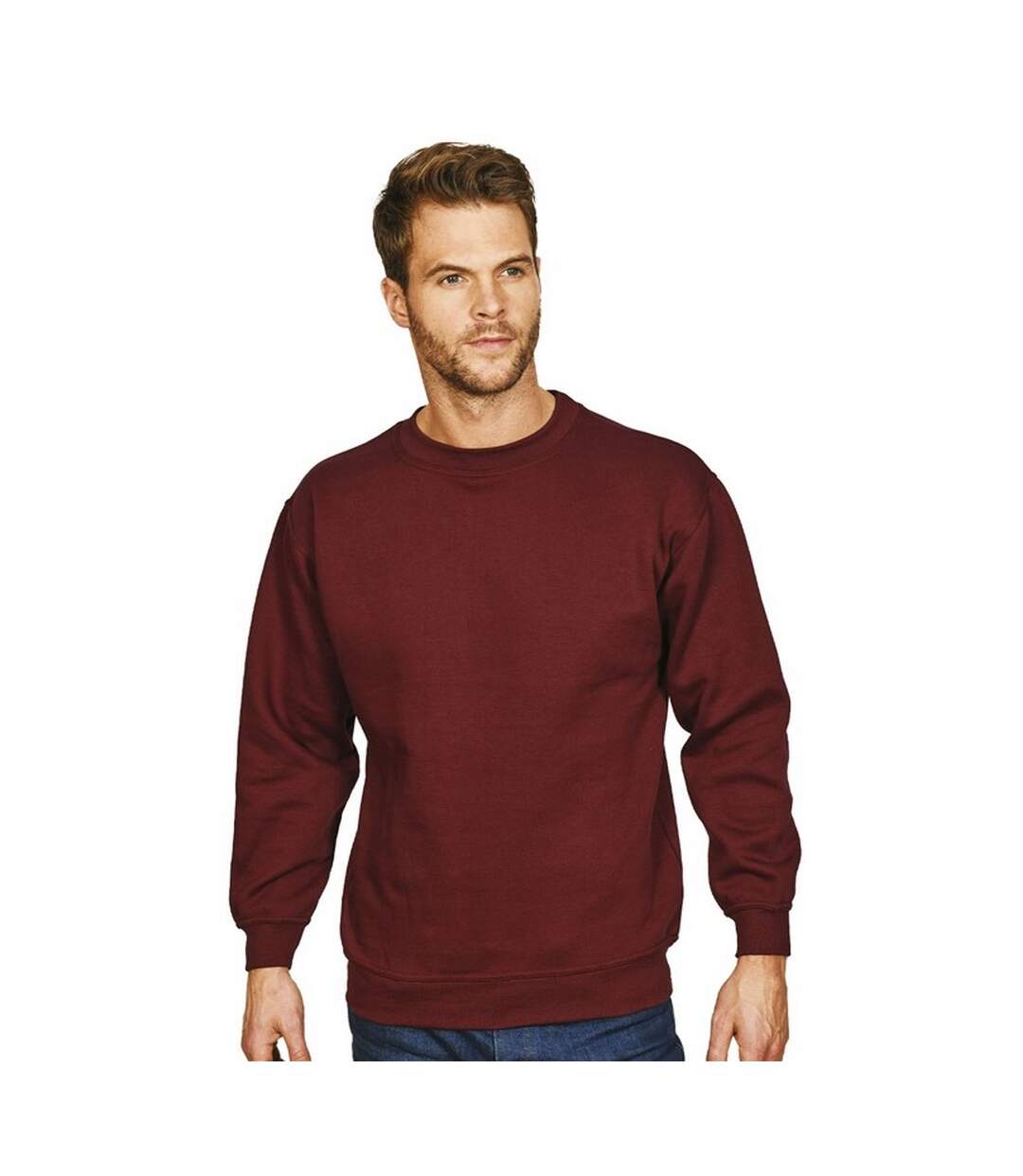 Absolute Apparel Mens Sterling Sweat (Burgundy)