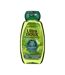 Shampoing détox tous types de cheveux garnier thé vert & 5 plantes ultra doux - 250ml-1
