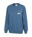 Sweat Conwall Femme Bleu Mountain Warehouse-4