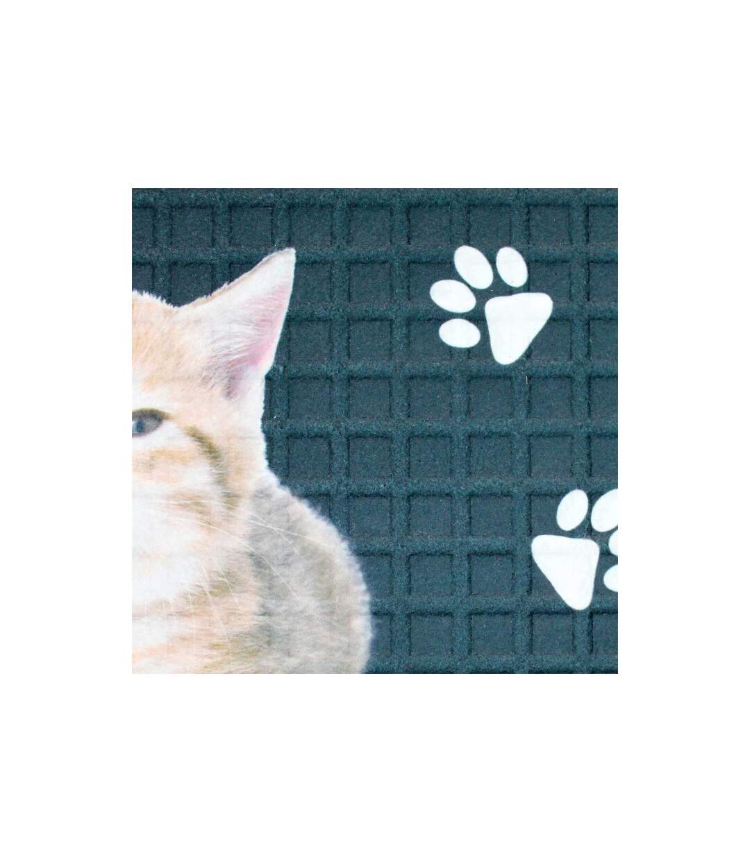 Tapis Relief Imprimé Chalut 45x75cm Bleu-2