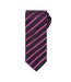 Premier - Cravate rayée - Homme (Bleu marine/Rouge) (One Size) - UTRW5237