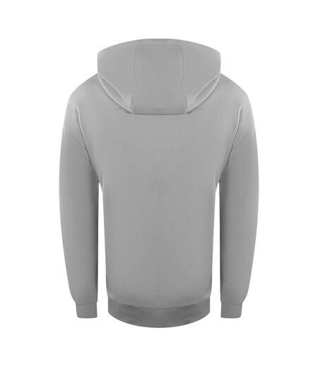 Unisex Adult Small Logo Full Zip Hoodie Grey Ice Iceberg