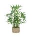 Bambou Artificiel en Pot Ly 46cm Naturel-1