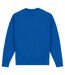 Park Fields Unisex Adult Shibuya Sweatshirt (Royal Blue) - UTPN760