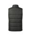 Veste Sans Manches Motif/style Uni Sierra Homme Granite Stormtech-2