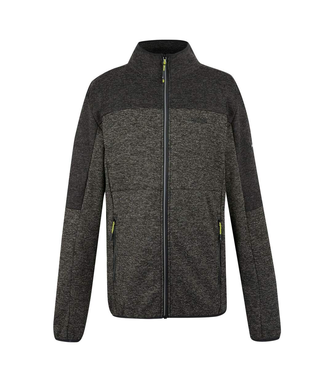 Polaire Elram Homme Gris Foncé Noir Regatta-2