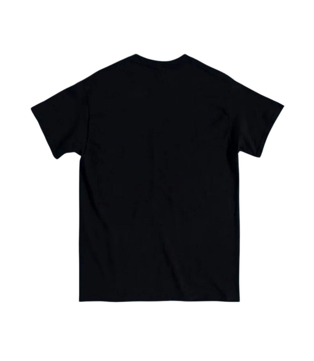 T-shirt Have You Ever Theme Tune Adulte Noir Charbon Round The Twist-2