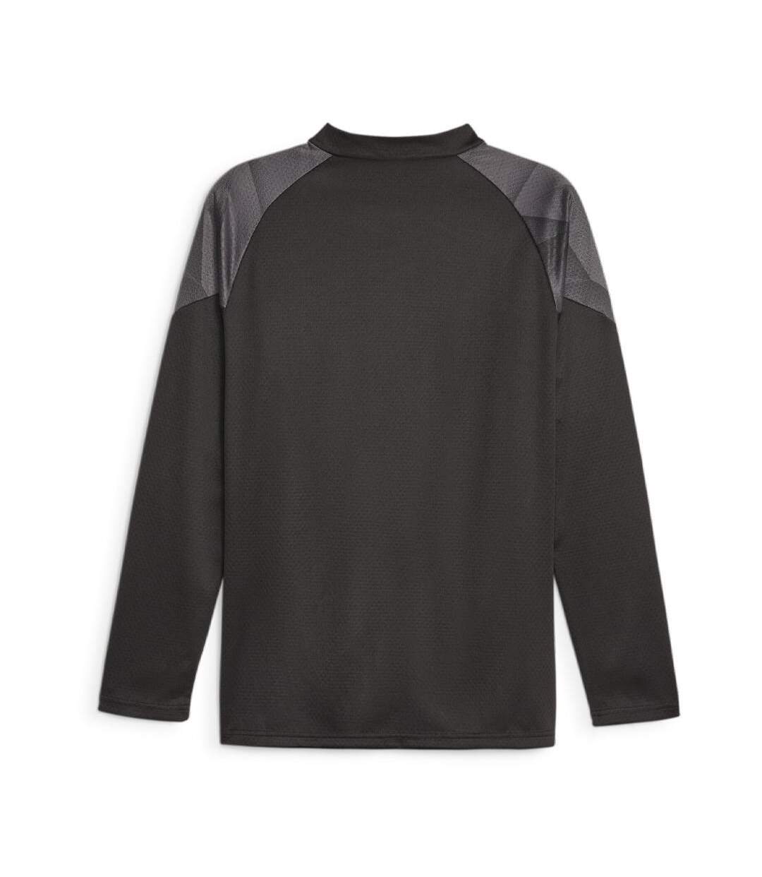 BVB Sweat de Training Noir Homme Puma 2023/24 - L-2