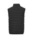 Elevate Mens Caltha Insulated Body Warmer (Solid Black)