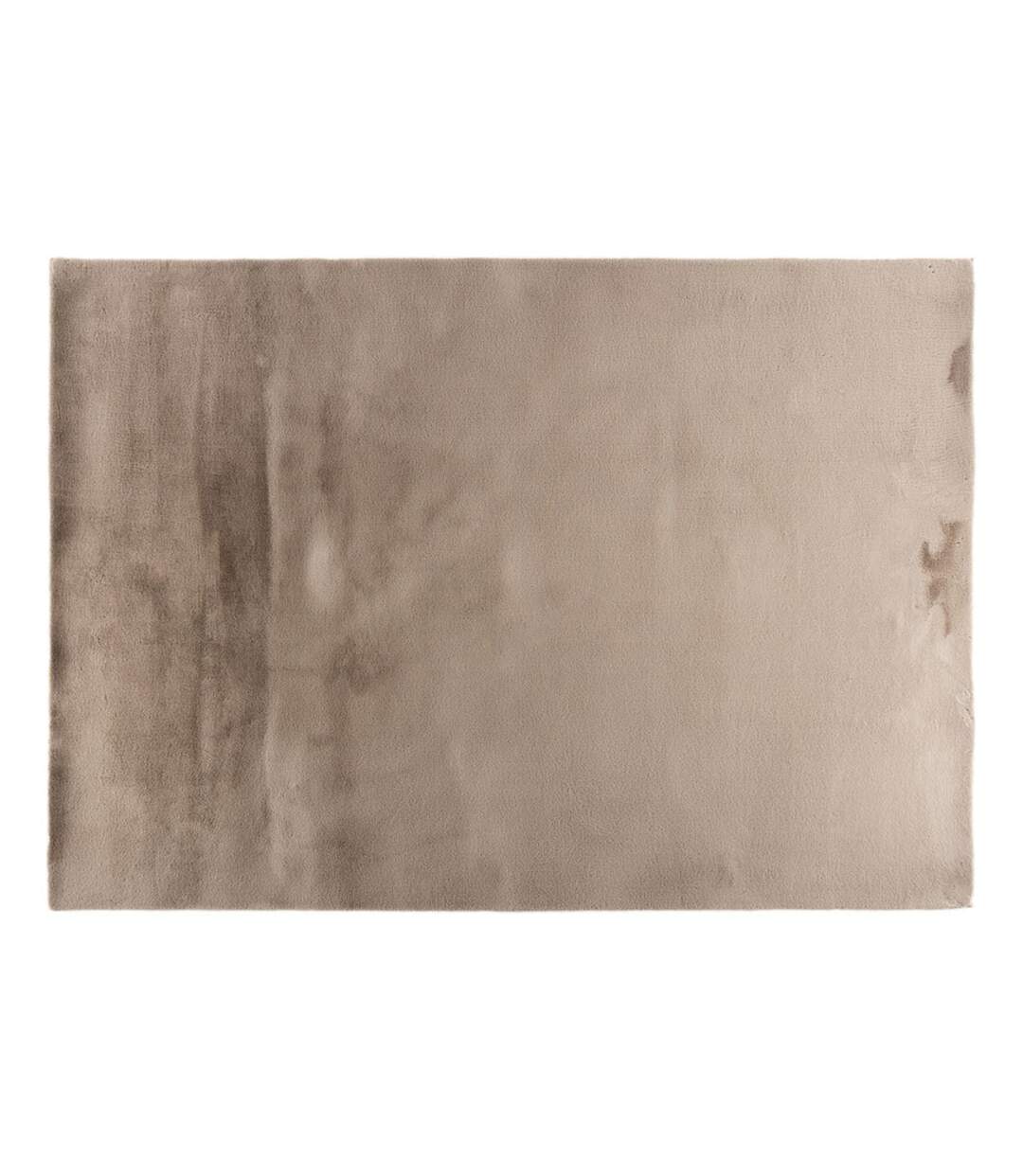 Tapis Déco Leni 170x240cm Beige-1