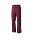 Pantalon De Ski Baseplate Homme Figue Dare 2B-4