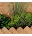 Plantes Artificielles à Suspendre Jika 28cm Naturel-2