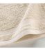 Serviette Invité Elegance 30x50cm Sable-2