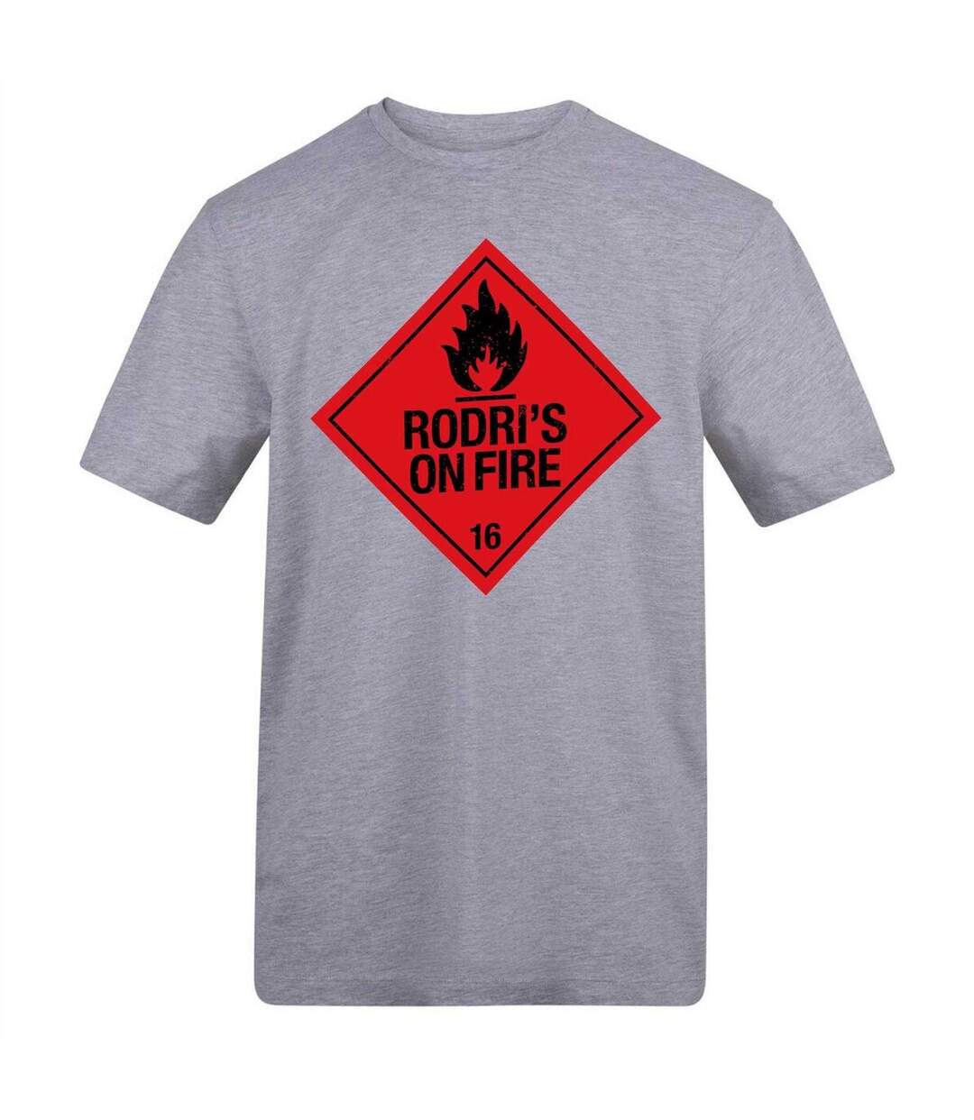 Unisex Adult Rodri Flame T-shirt Grey AWD-1