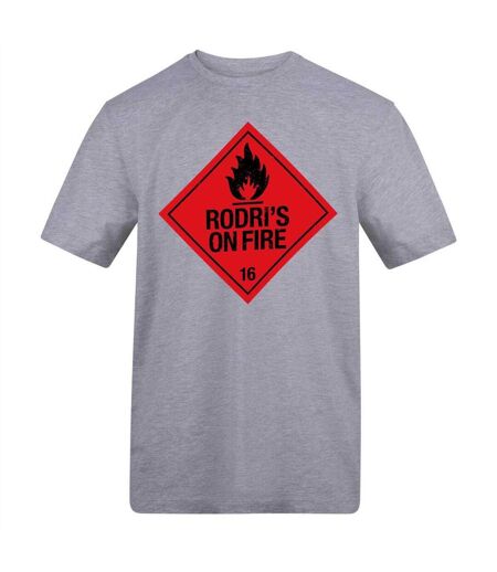 Unisex Adult Rodri Flame T-shirt Grey AWD