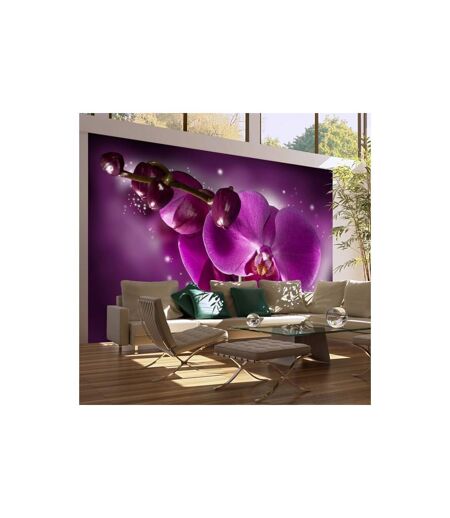 Papier Peint Conte & Orchidée 270x450cm