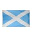 Scotland Flag One Size Blue Team-1