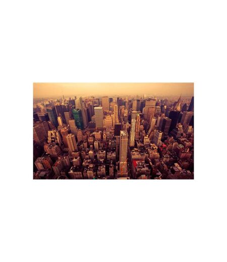 Papier Peint Manhattan Vu du Ciel, New York 270x450cm