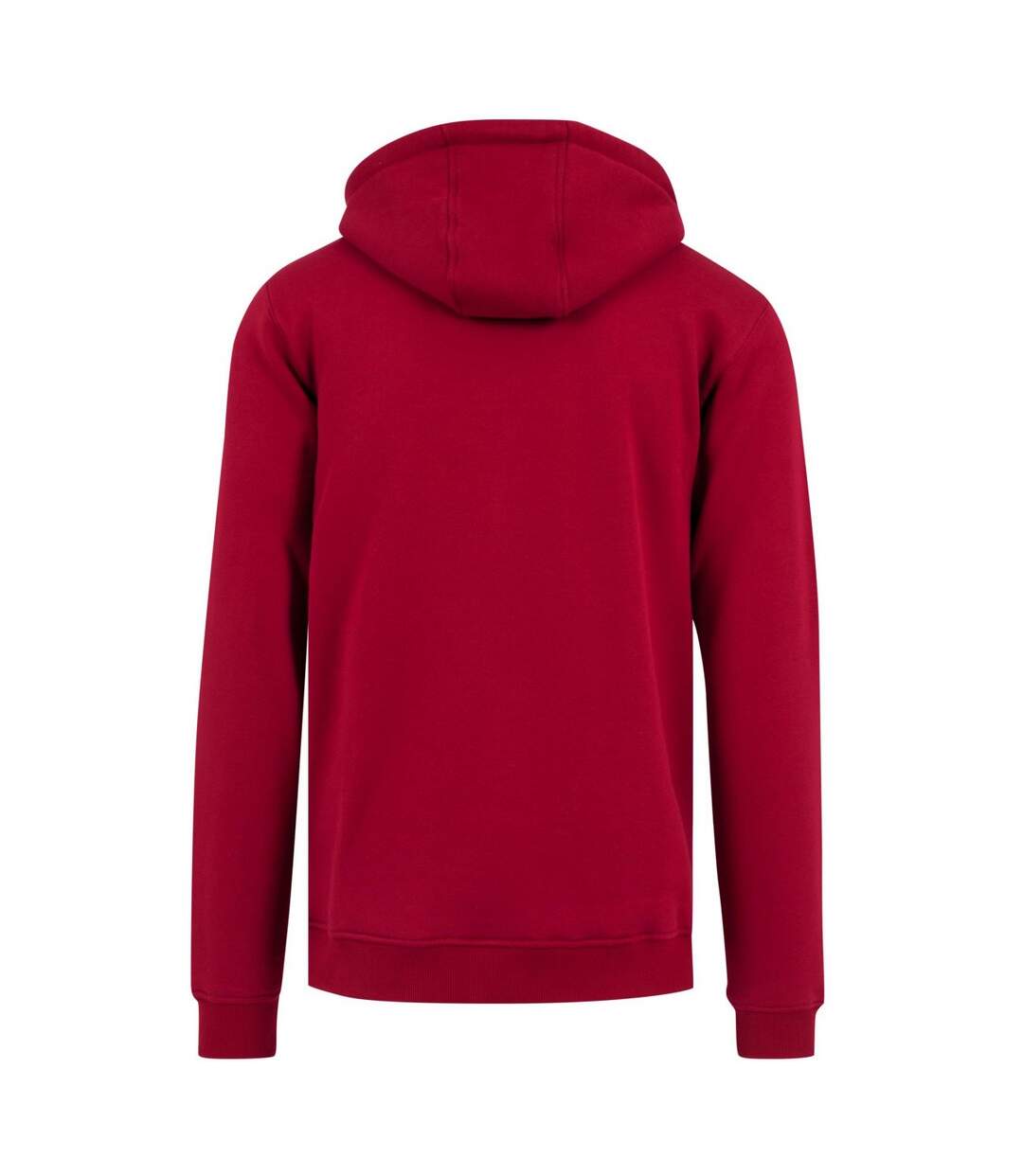 Sweat À Capuche Pray Homme Ruby Mister Tee-2