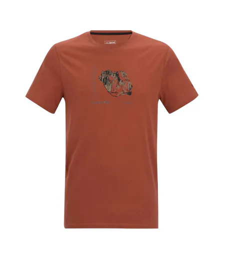 Mens Breezed Mountain Flow T-shirt Brick Regatta