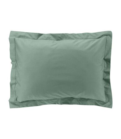 Taie d'Oreiller Percaline 50x70cm Tilleul