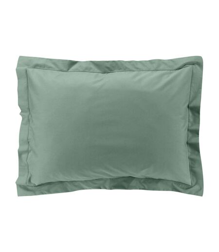Taie d'Oreiller Percaline 50x70cm Tilleul