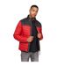 Crosshatch Mens Presnell High-Neck Jacket (Red) - UTBG137