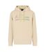 Mens Summer Beats Gradient Logo Hoodie Beige Armani Exchange-2