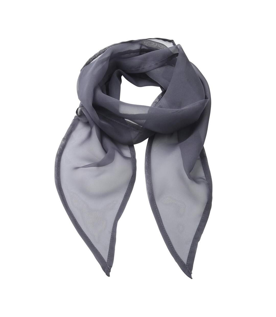 Écharpe Femme Taille Unique Gris Acier Premier-1