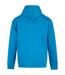 Mens Hoodie Turquoise PRO RTX-2