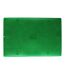 Tapis d'Entrée Grattoir 38x58cm Vert-2